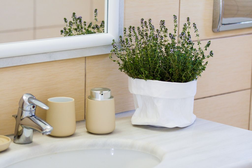 SUPERIOR LODGE LODGE ROGDIA | Garden - mountain &amp; olive groves view