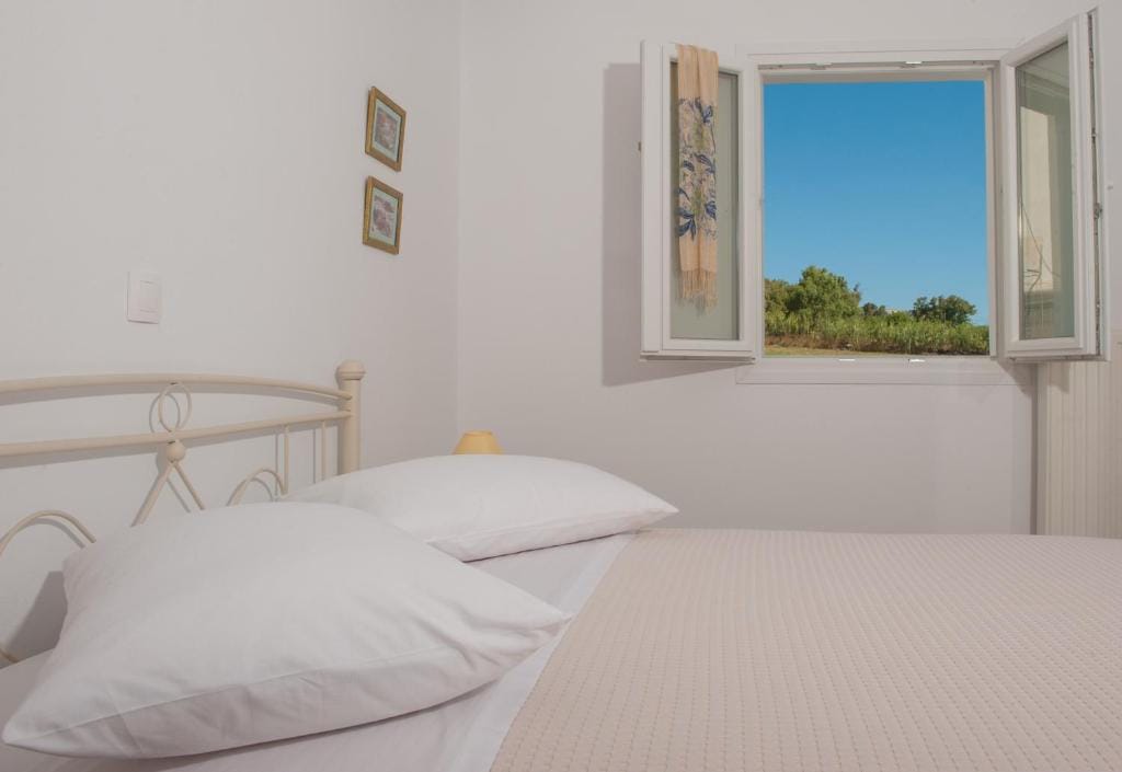 One Bedroom Apartment