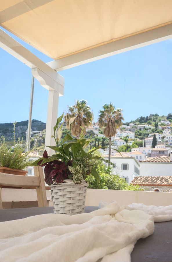 Terrace Room