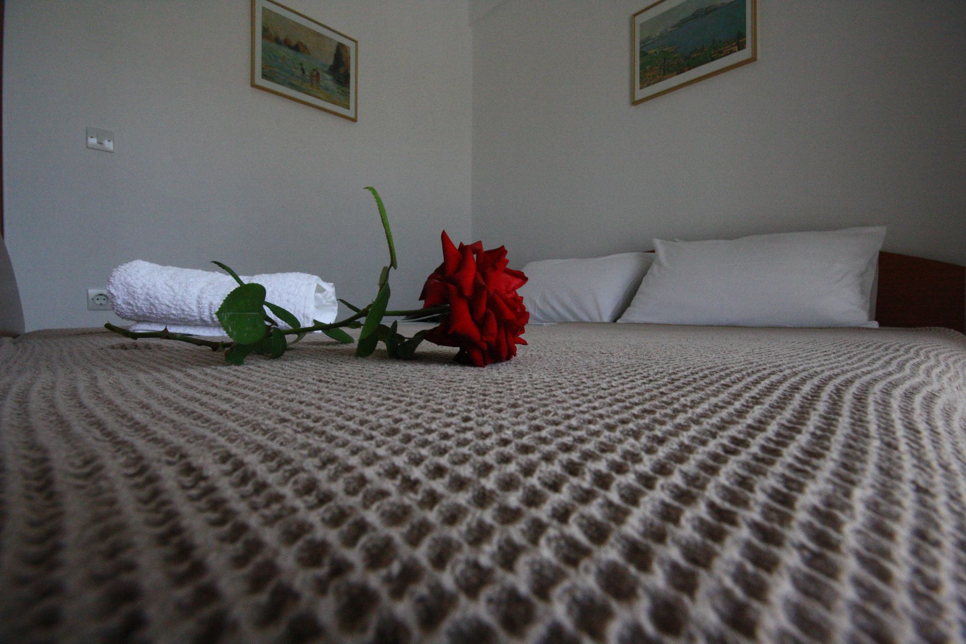 One Bedroom Apartment -1st Floor