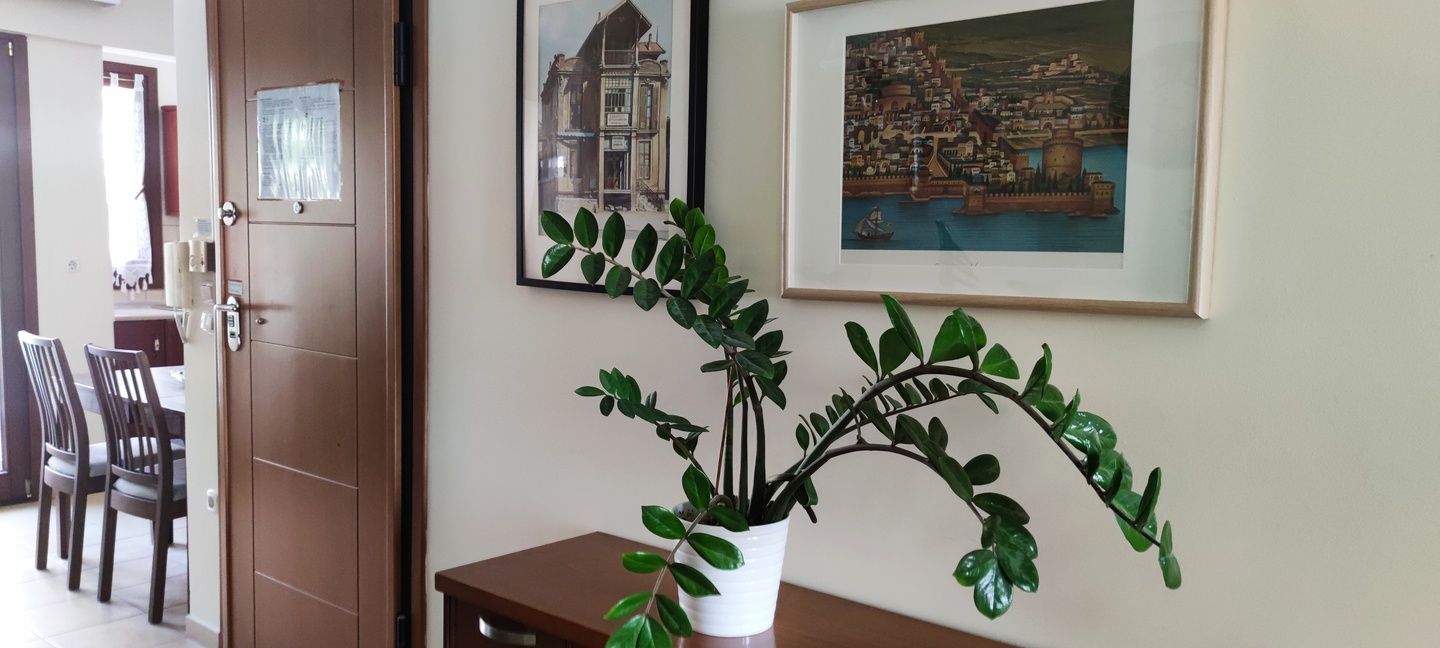 No6 - Apartment with separate room