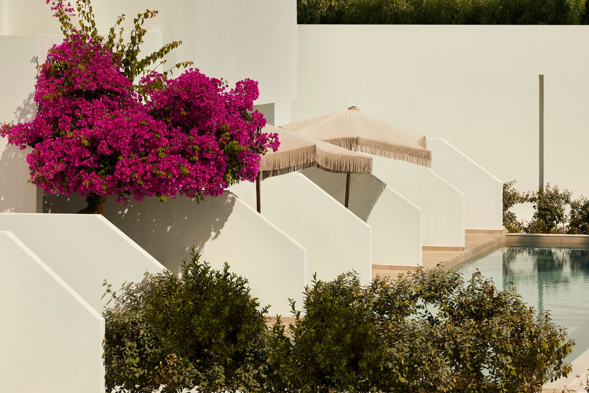 Superior Room with Shared Pool