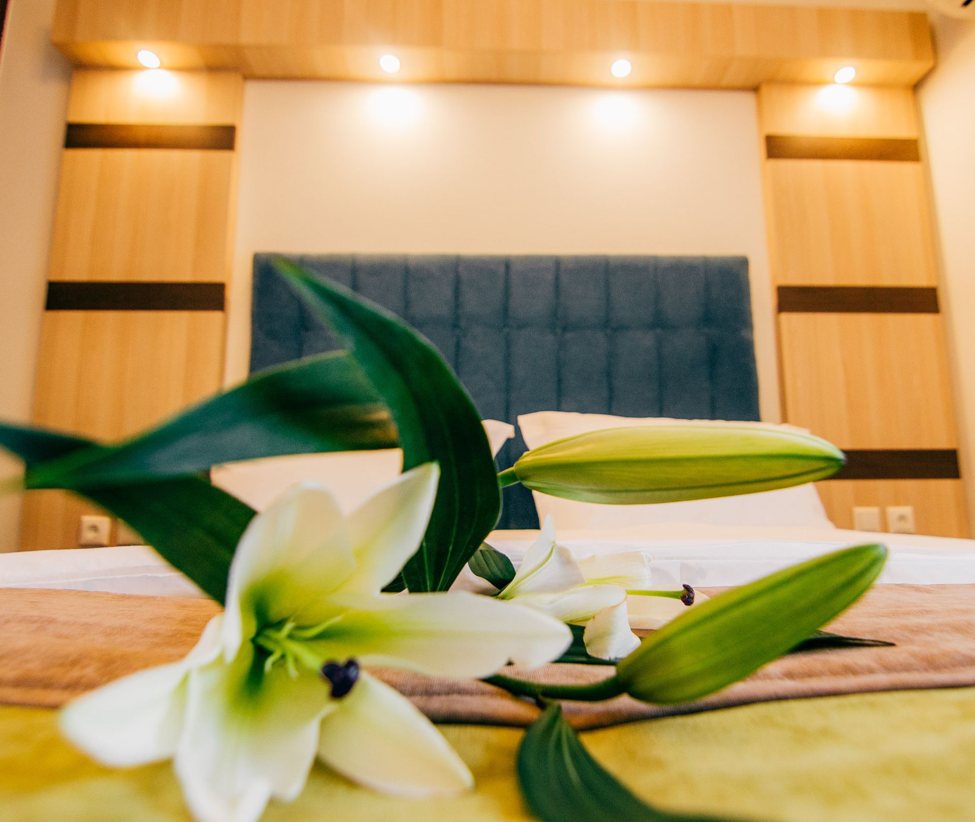 Superior Double Studio