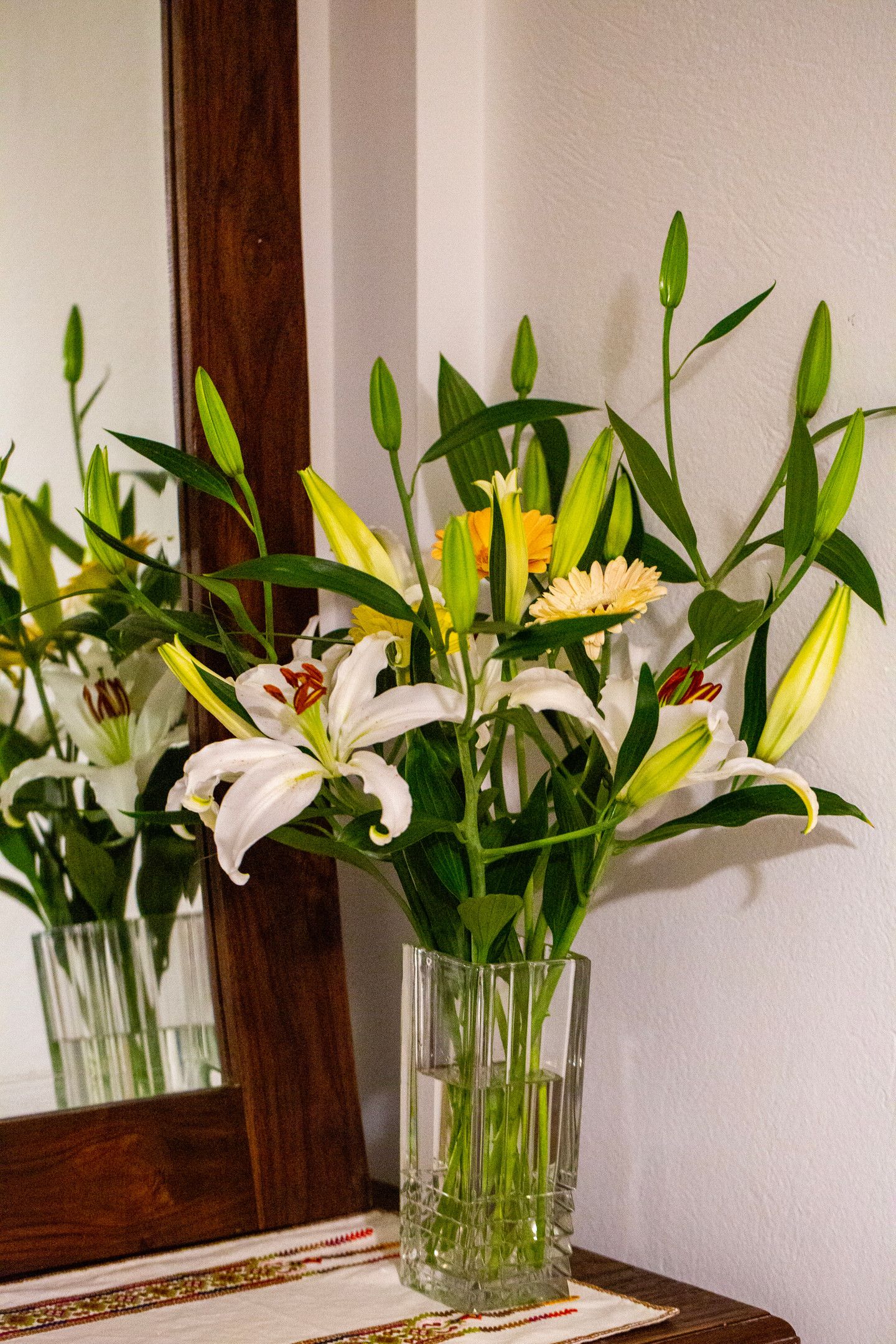 Standard One Bedroom Apartment with Terrace | Gardenia