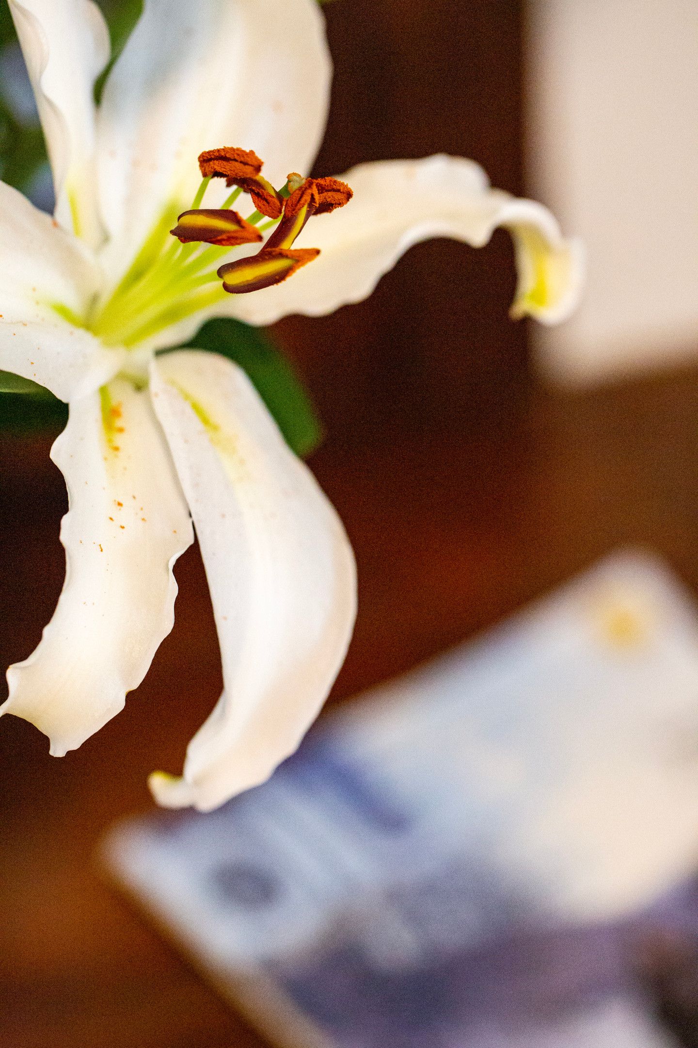 Superior Two Bedroom Apartment with Garden View | Giasemi