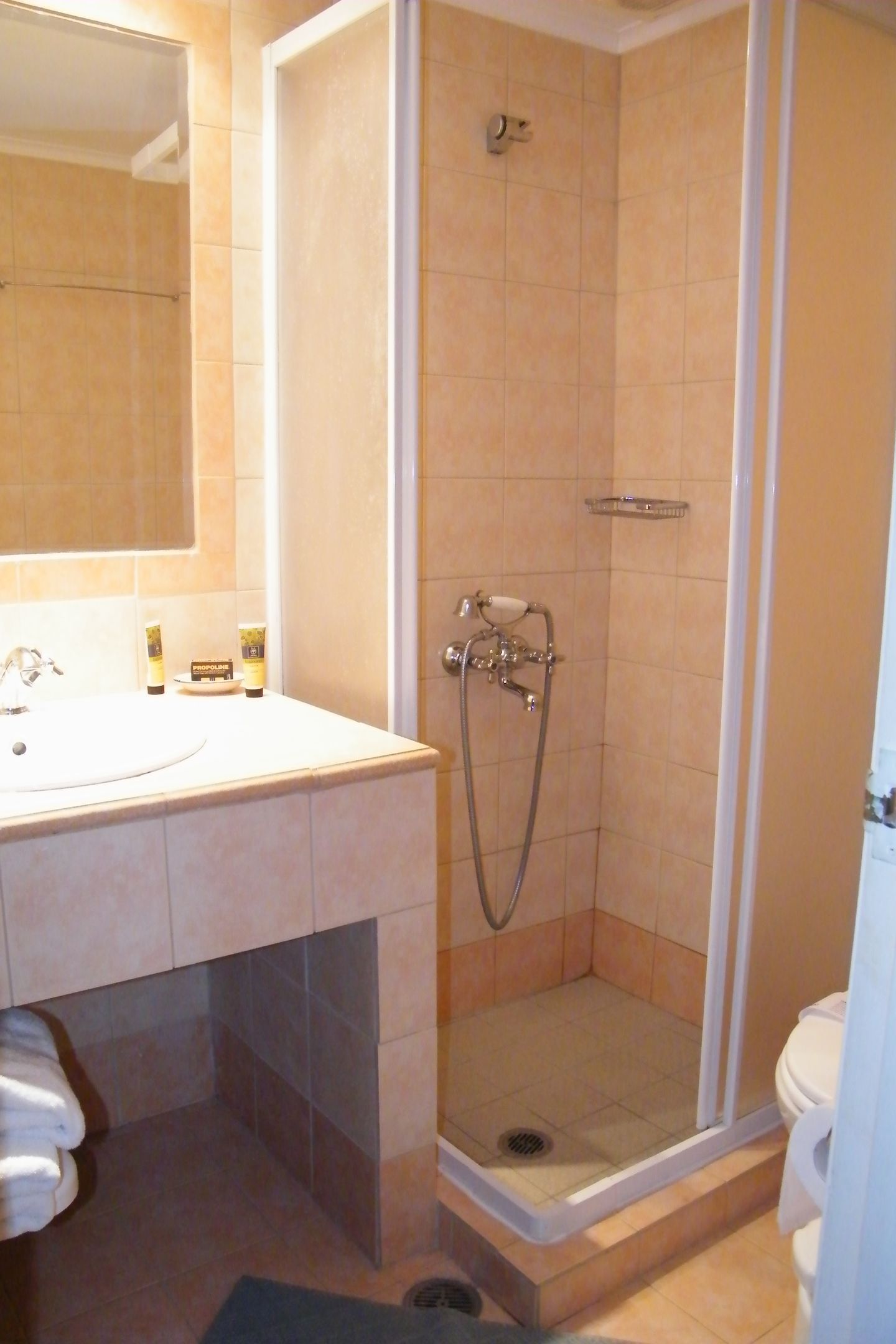 Double or Twin Room with Mountain View