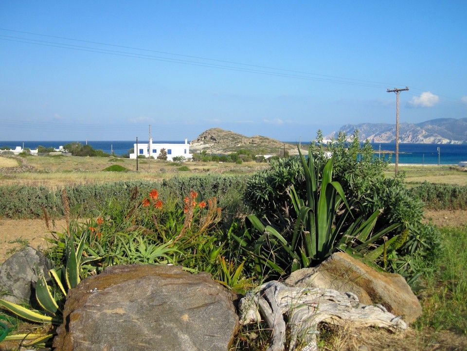 Studio (Semi-basement)