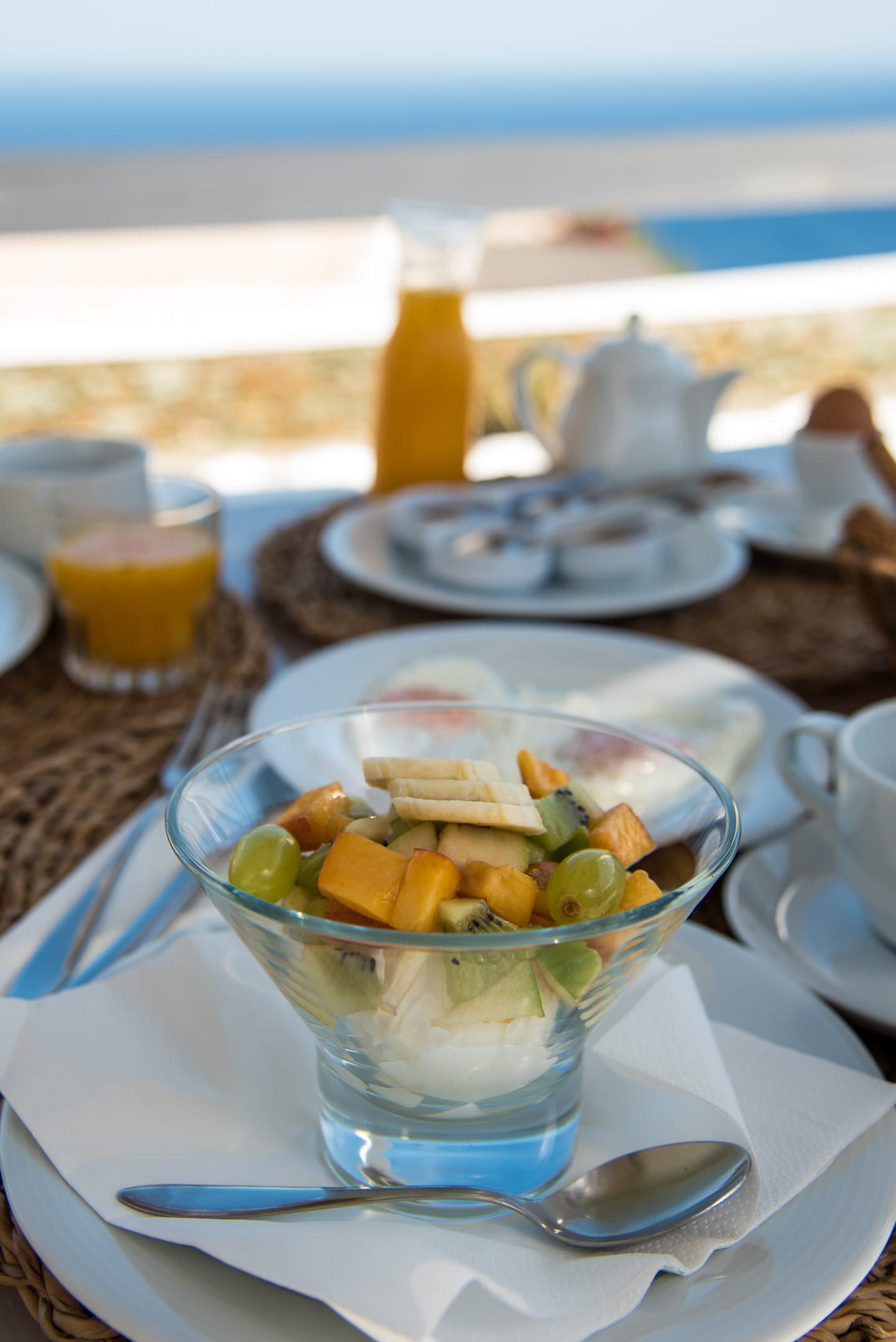 Superior One Bedroom House 