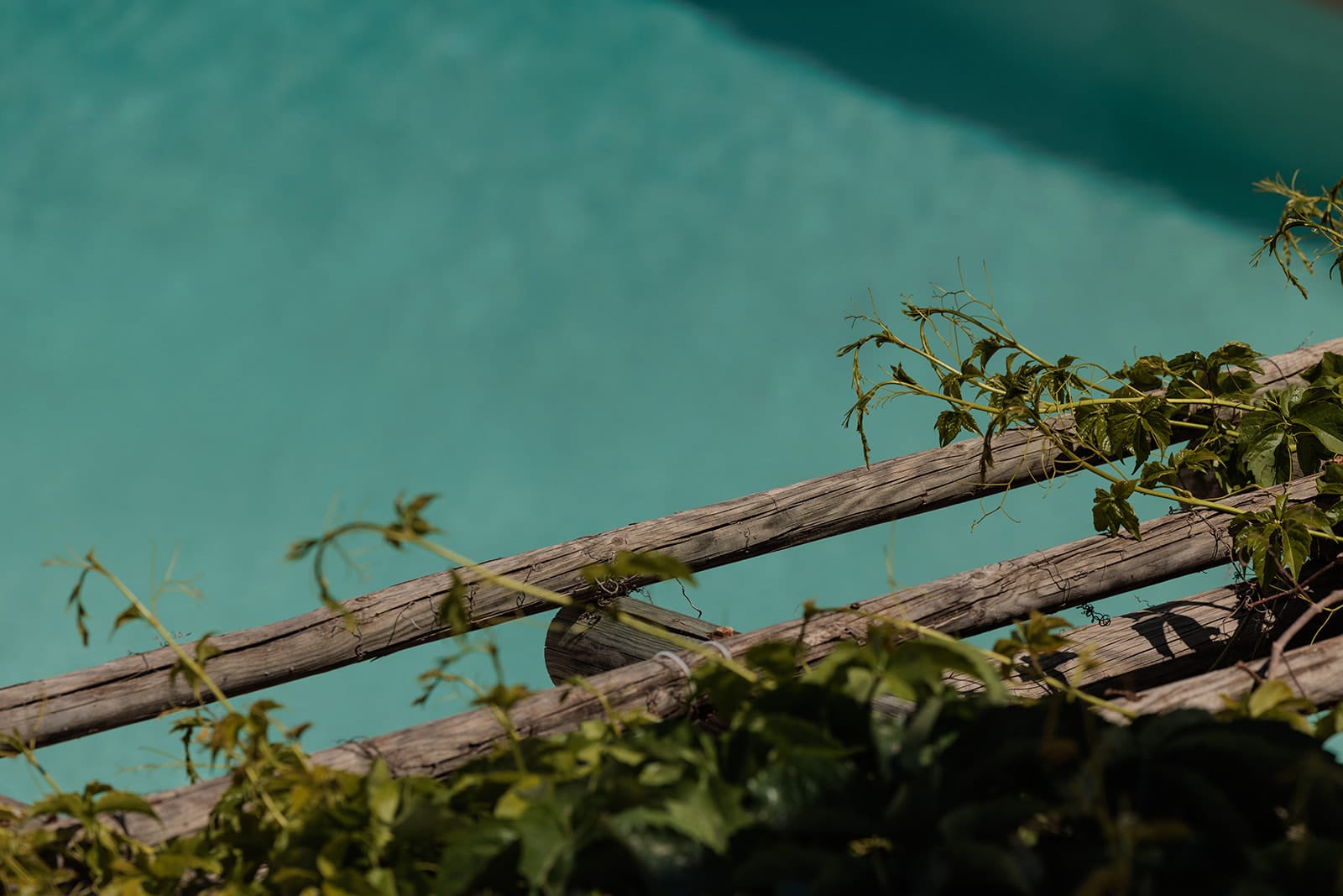 Queen Room with Pool view