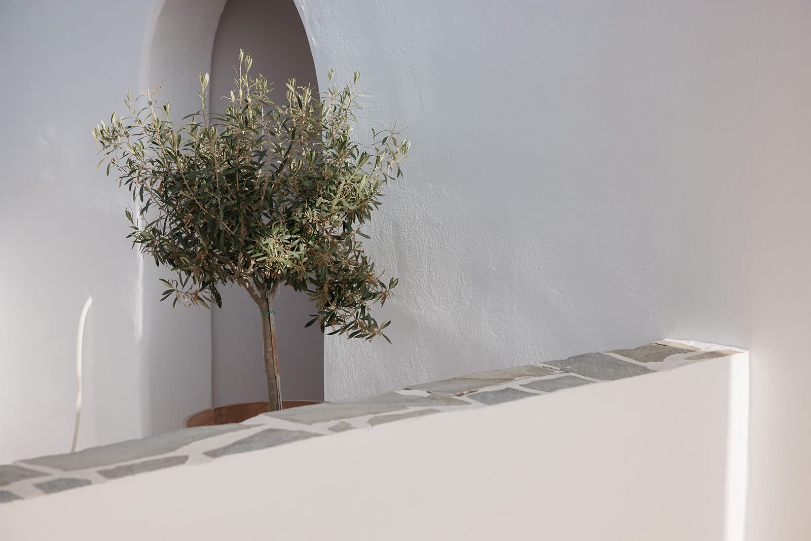 Executive Triple room