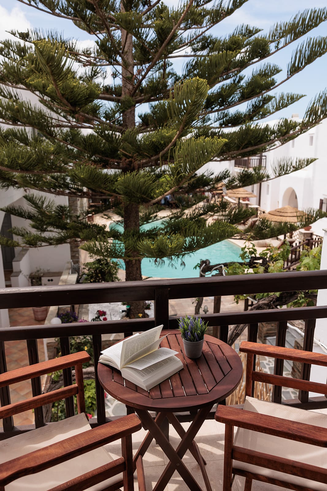 One-bedroom apartment with pool view
