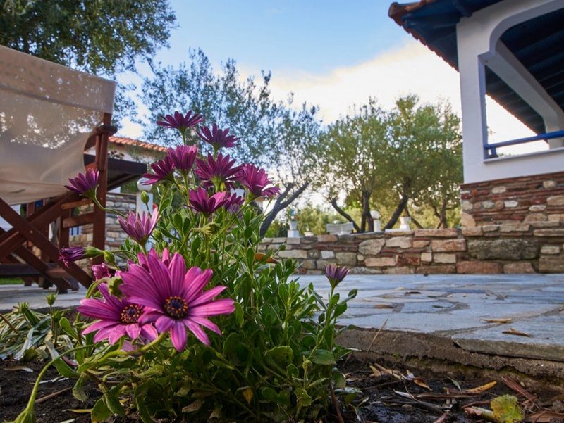 Apartment 35qm with 2 bedrooms for 2 adults + 2 children  # 3