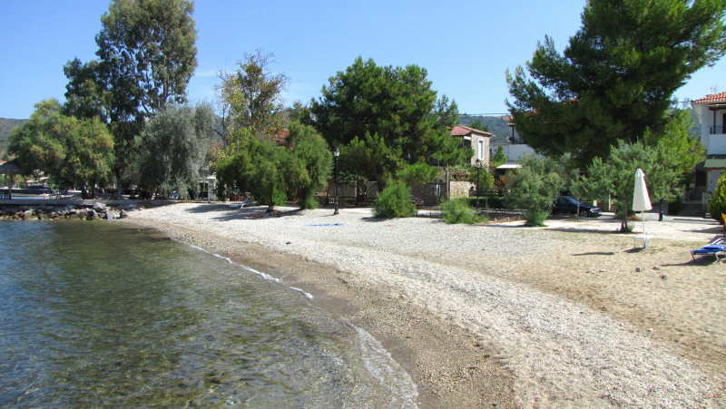 Studio with garden view ground floor # 3